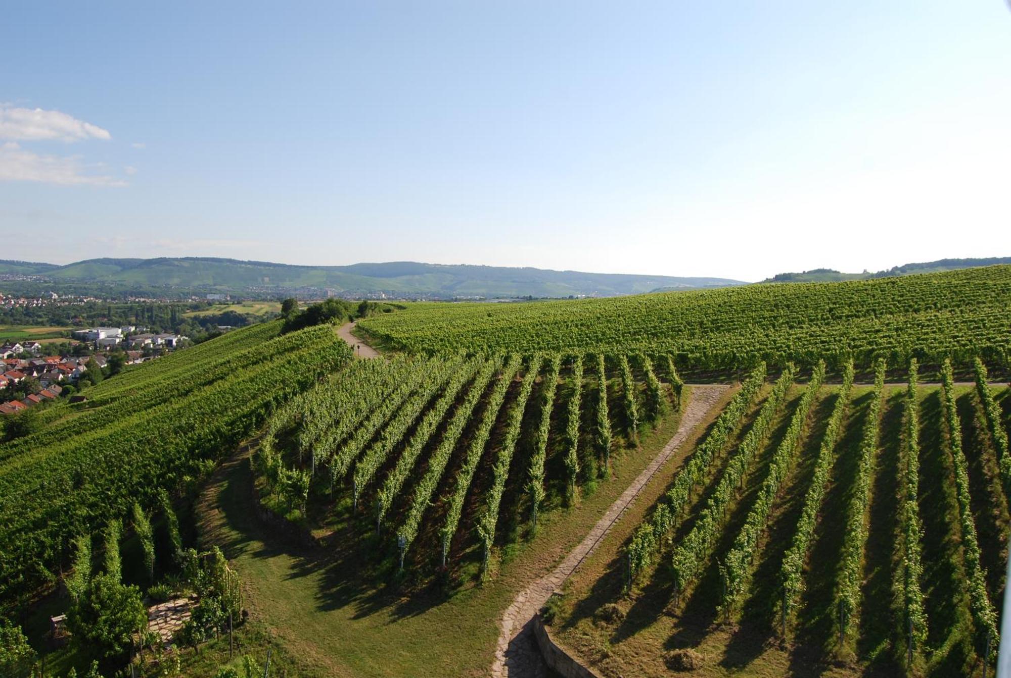 Unter Der Yburg Stetten Stetten  المظهر الخارجي الصورة