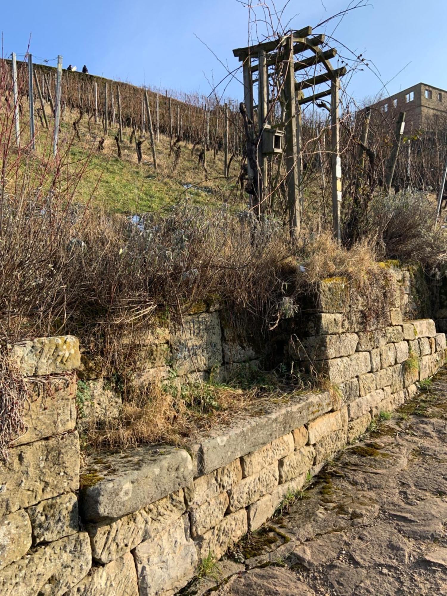 Unter Der Yburg Stetten Stetten  المظهر الخارجي الصورة
