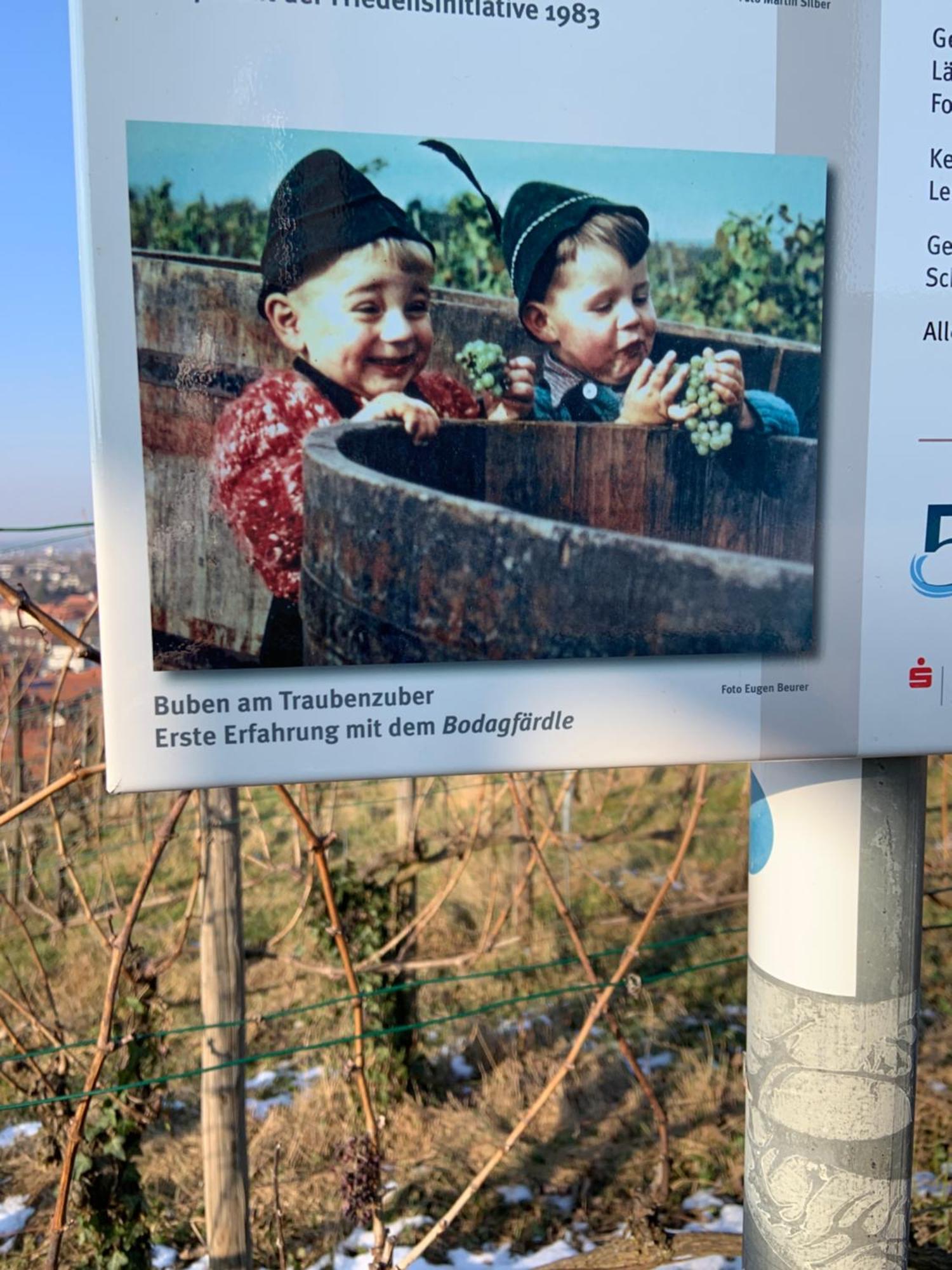 Unter Der Yburg Stetten Stetten  المظهر الخارجي الصورة